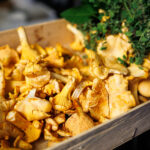 Canon EOS R5 Mark II /// Copyright © Jan Stojkovic Canon EOS R5 Mark II /// Copyright © Jan Stojkovic